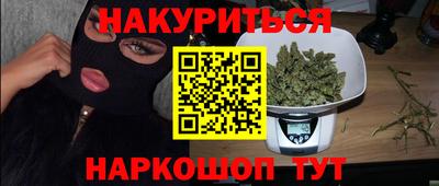 сатива Моздок