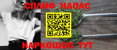 сатива Моздок