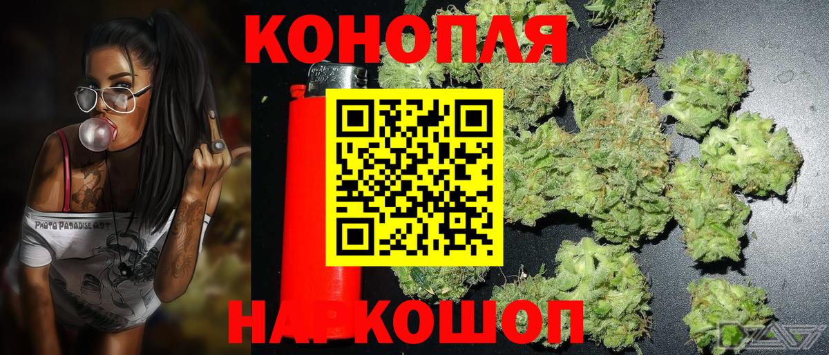 Конопля индика Семёнов